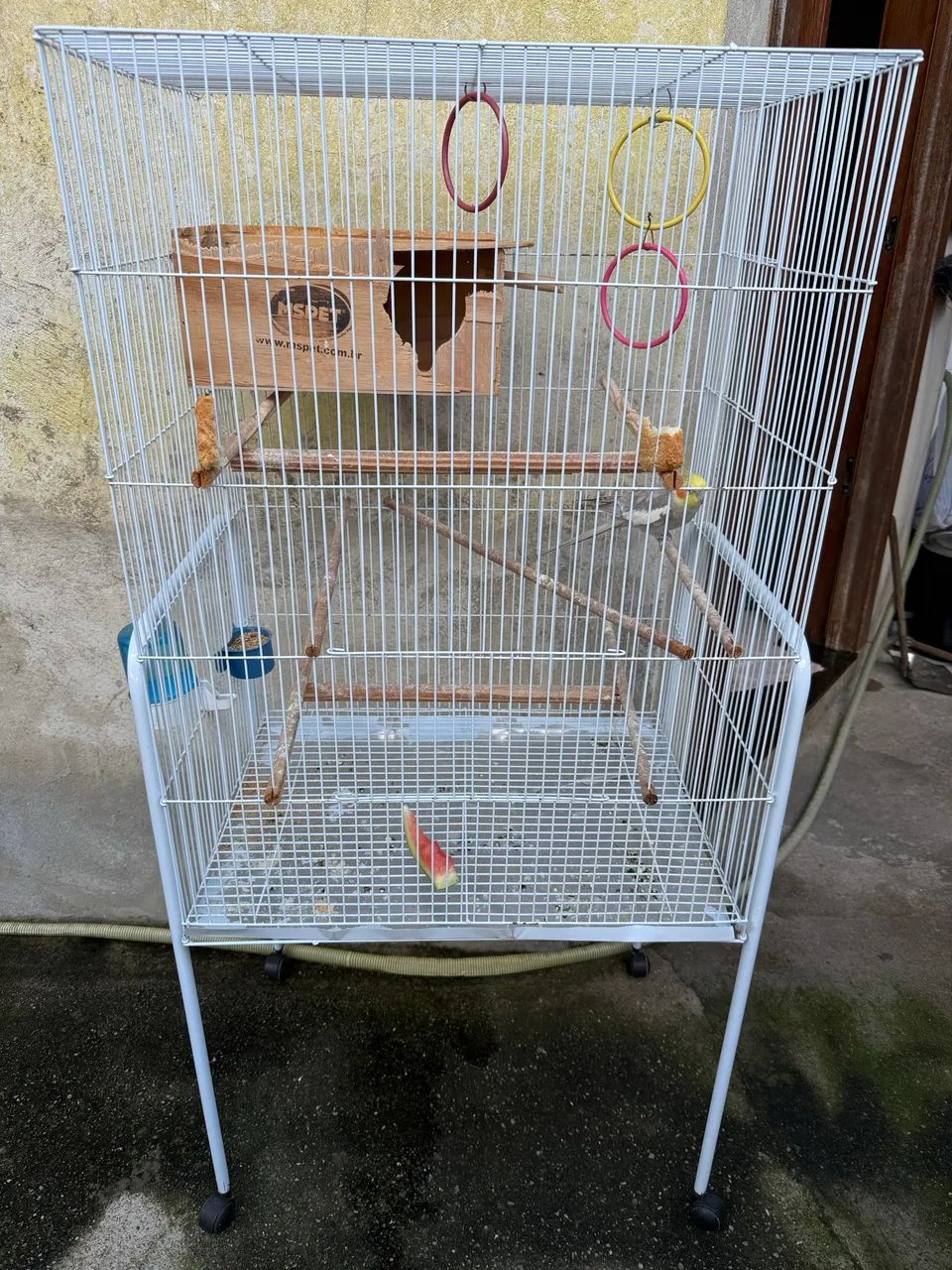 Large cage64293082611202120