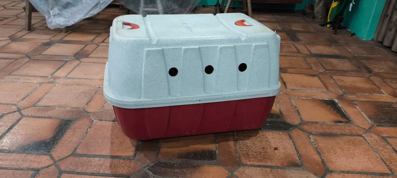 Caixa de transporte cachor porte grande - Foto 2