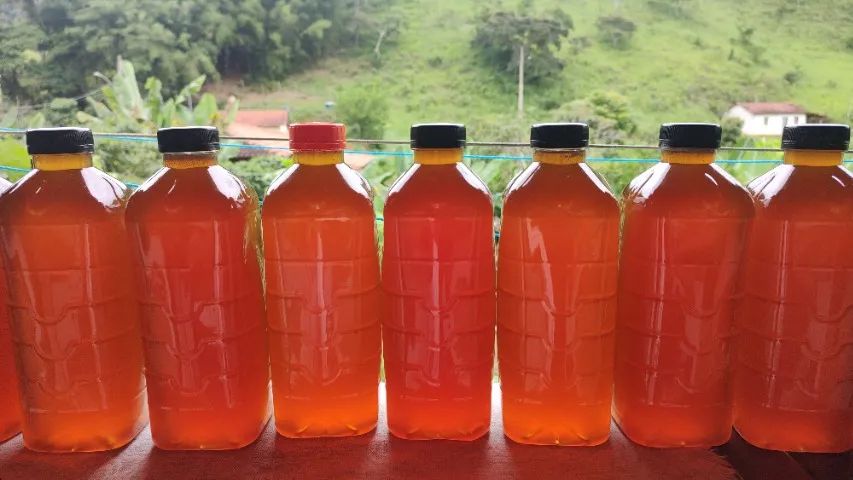 Mel de abelha puro 64167770633602120