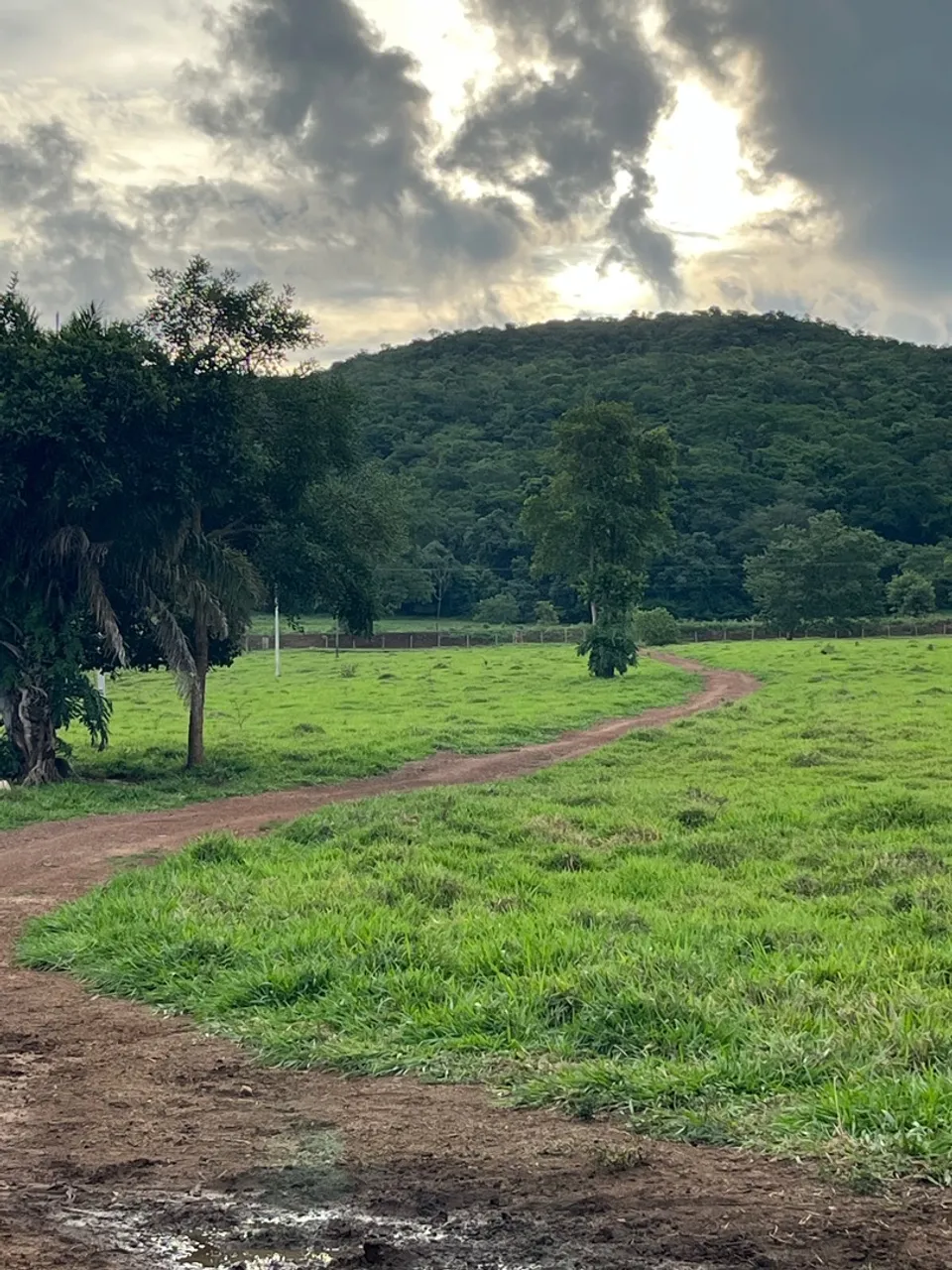 CHÁCARA A VENDA MUNICÍPIO DE AMORINÓPOLIS-GOIÁS NO VALOR DE R$850.000,00 mil