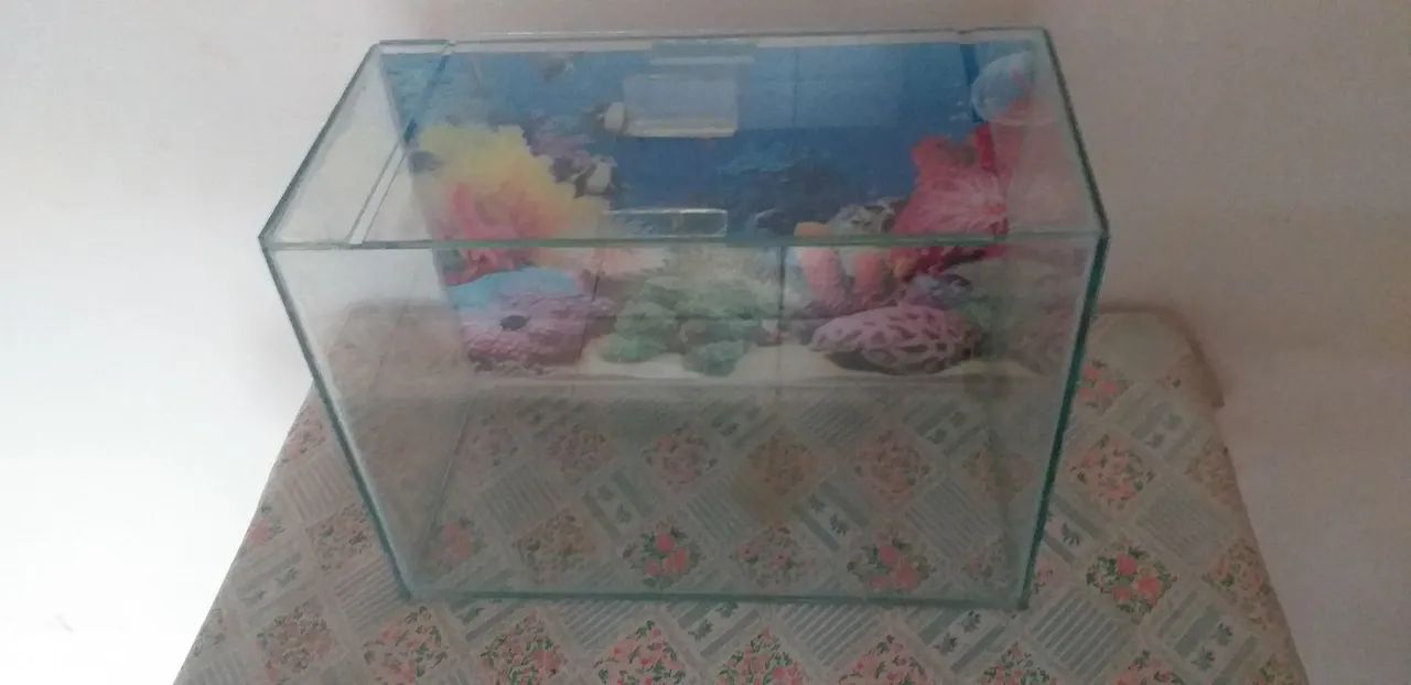Aquário 20 litros  - Foto 2