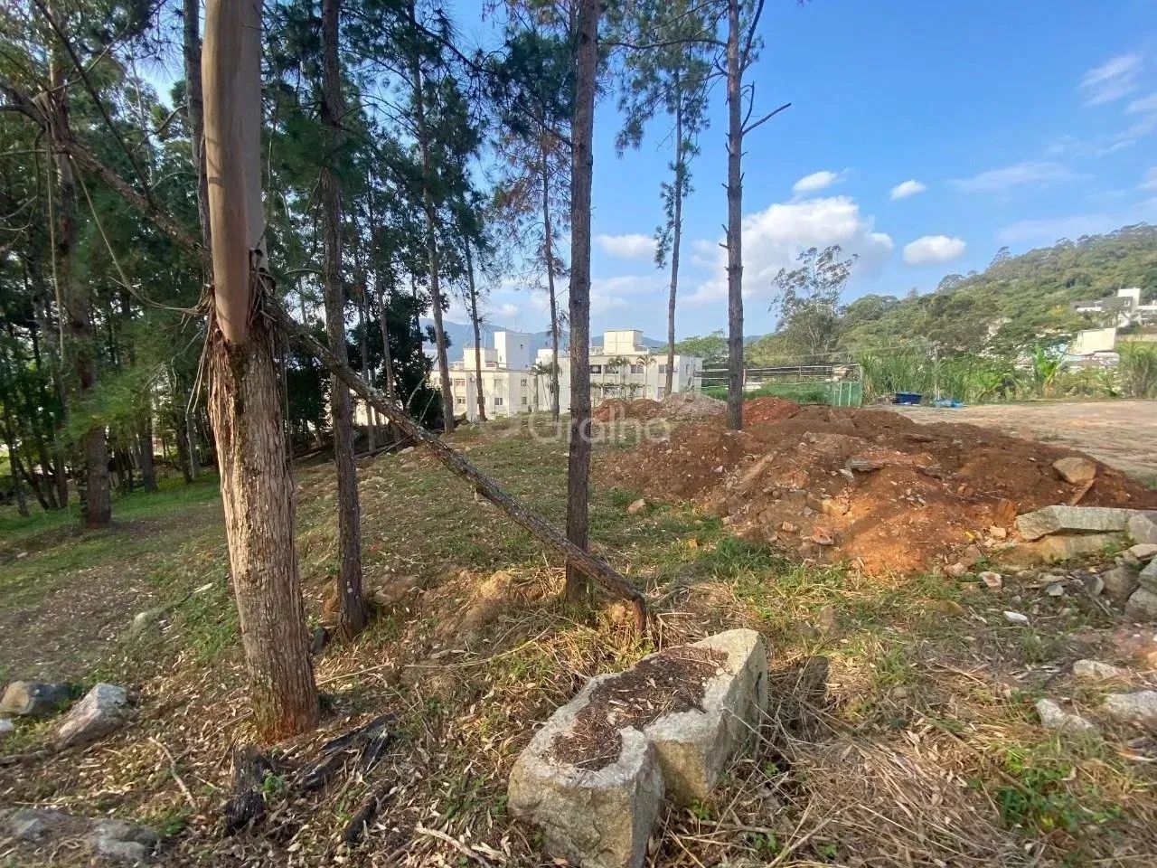 Terreno para Venda em Florianópolis, Pantanal - Foto 3