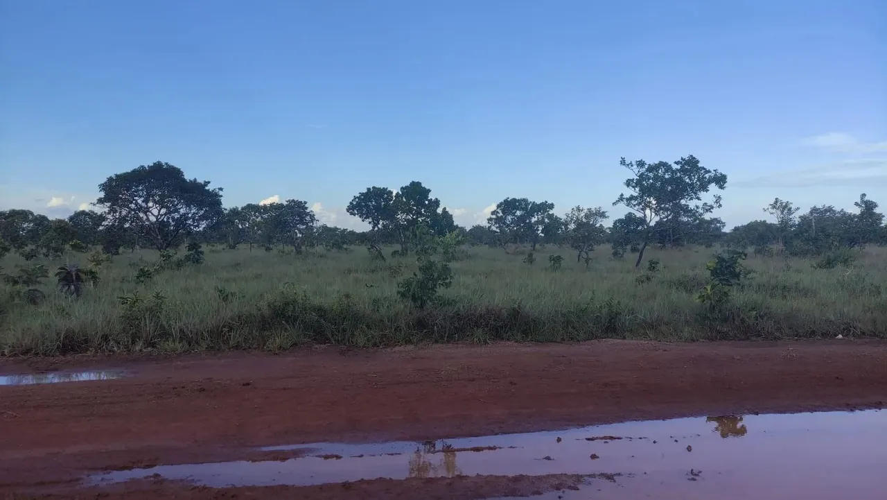 Vendo área rural com 260 hectares - Macapá - AP