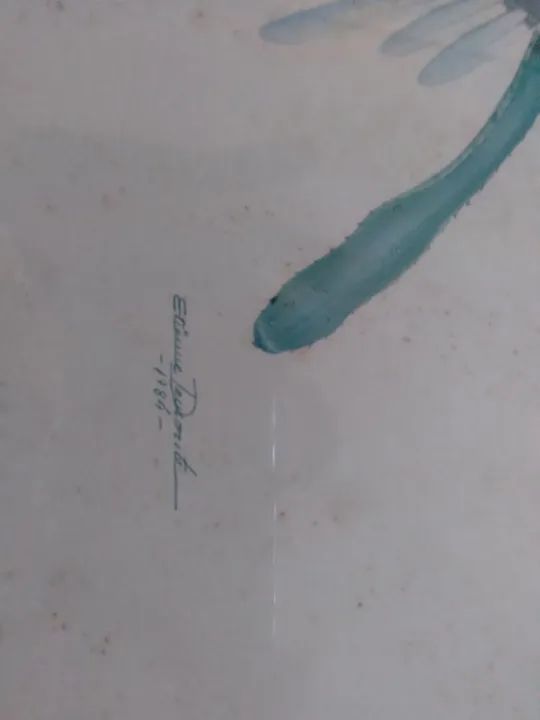 Pintura de pássaros etienne demont e postais  - Foto 5
