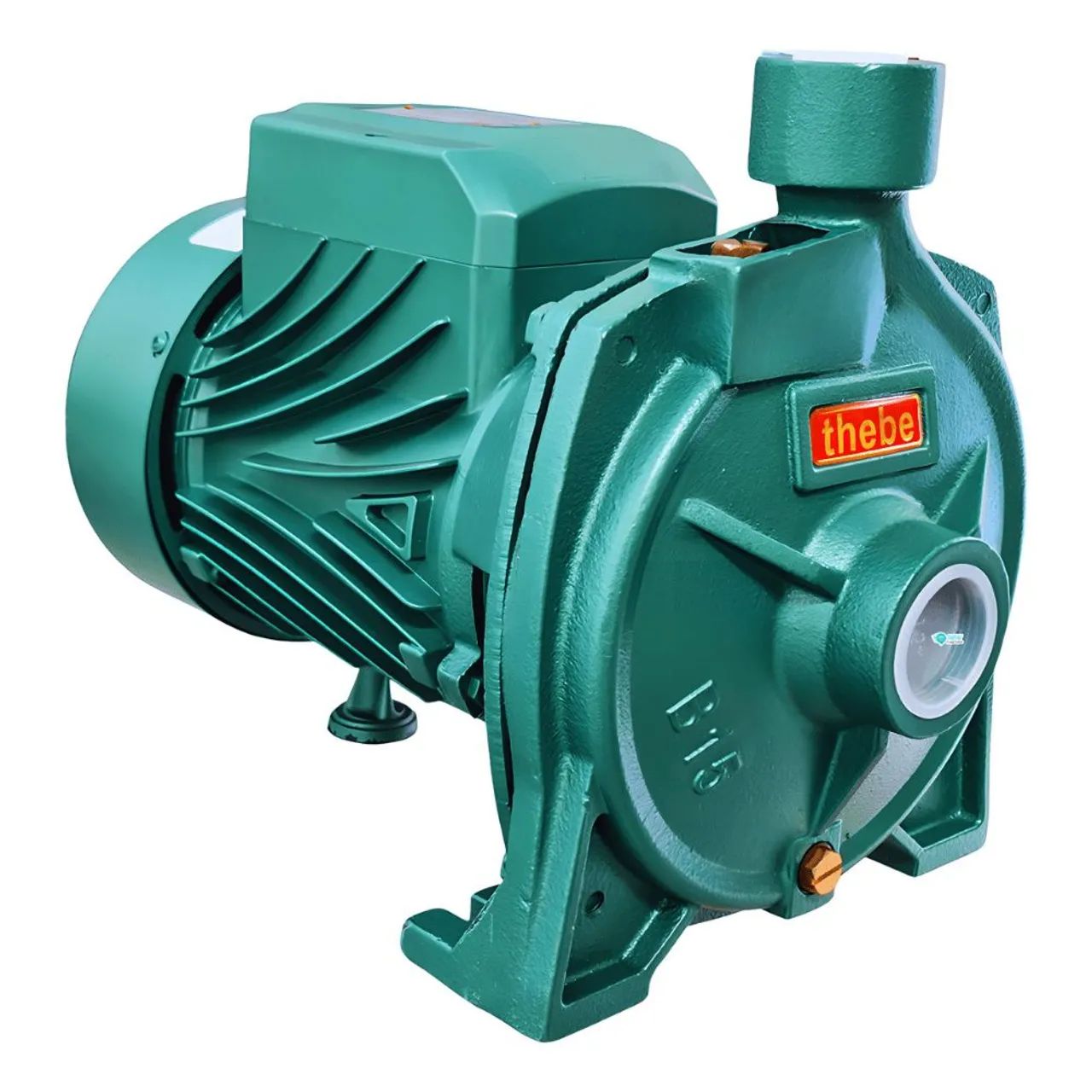 BOMBA CENTRÍFUGA 2CV 127/220V B-15 THEBE