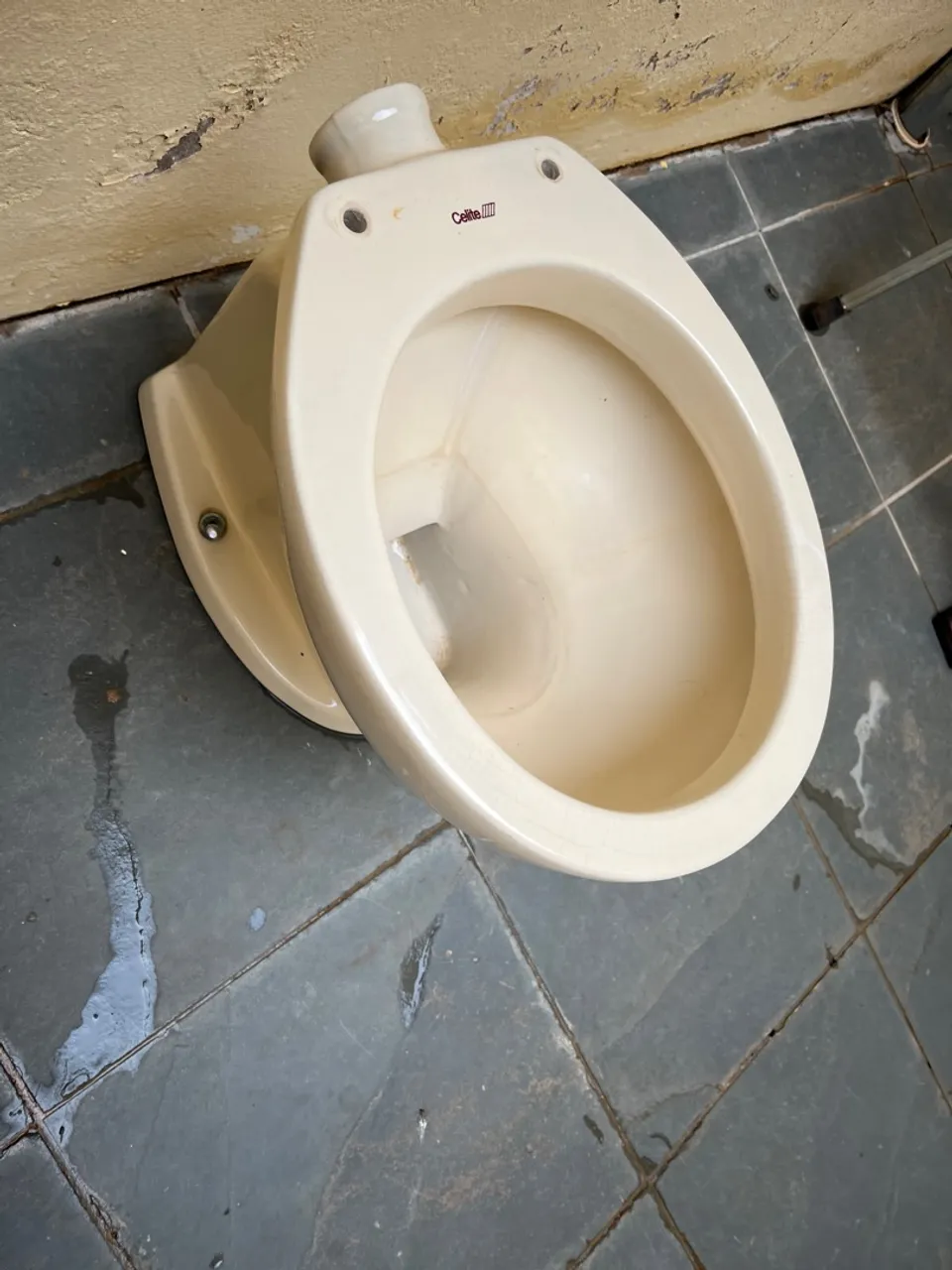 Vaso Sanitário Celite