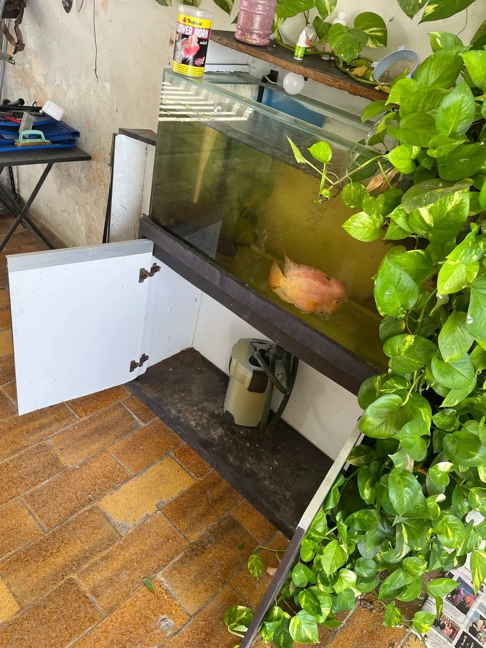 Aquário 100x50x35