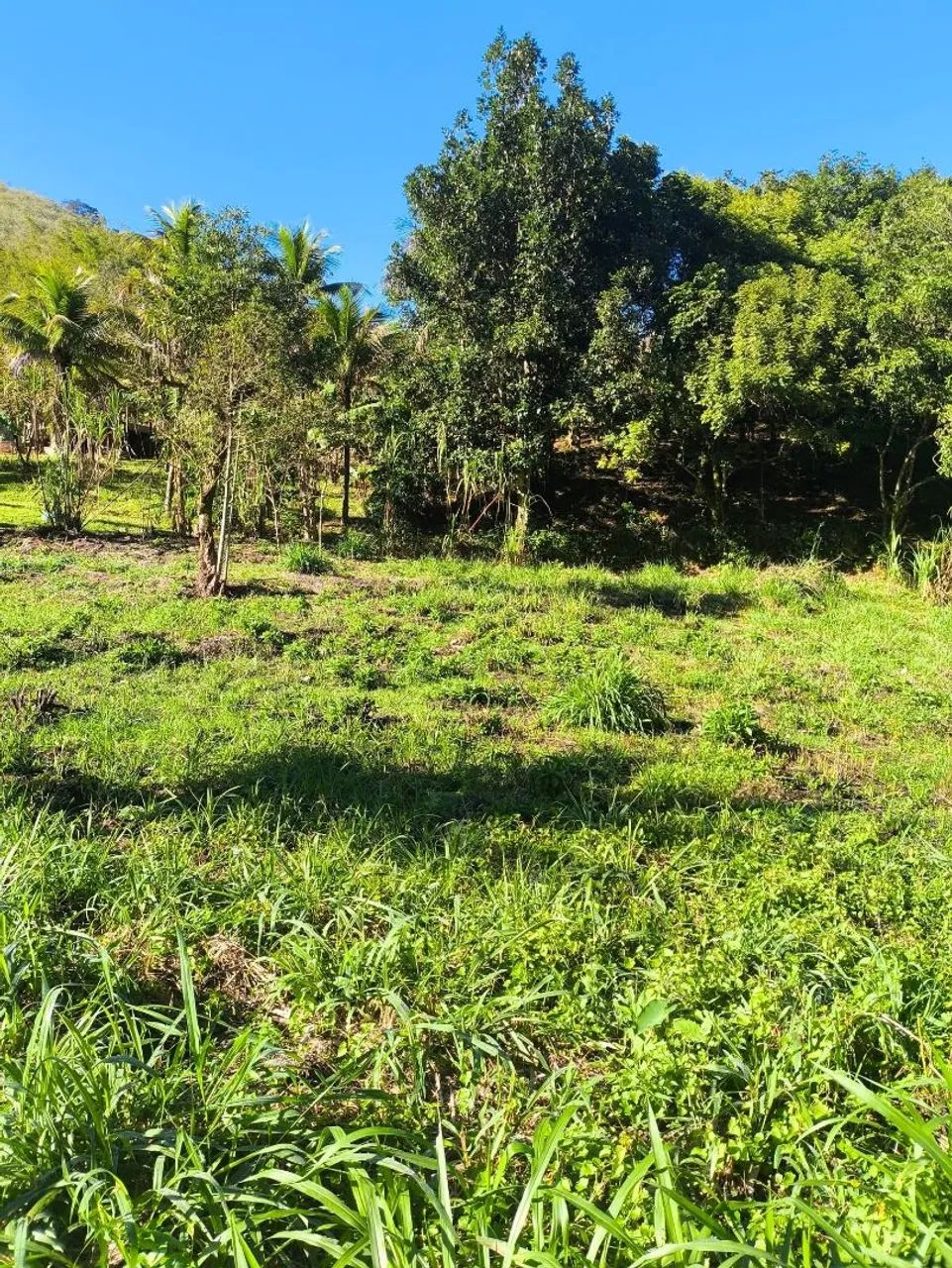 ?Oportunidade única em Cachoeiras de Macacu! ? - Foto 3