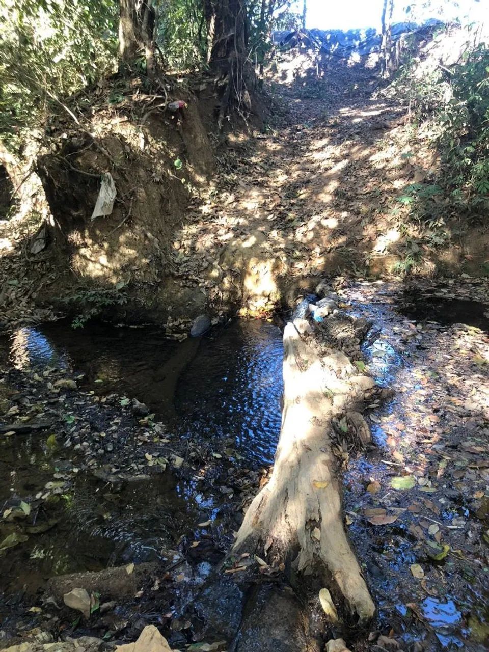 Chácara com córrego  - Foto 2