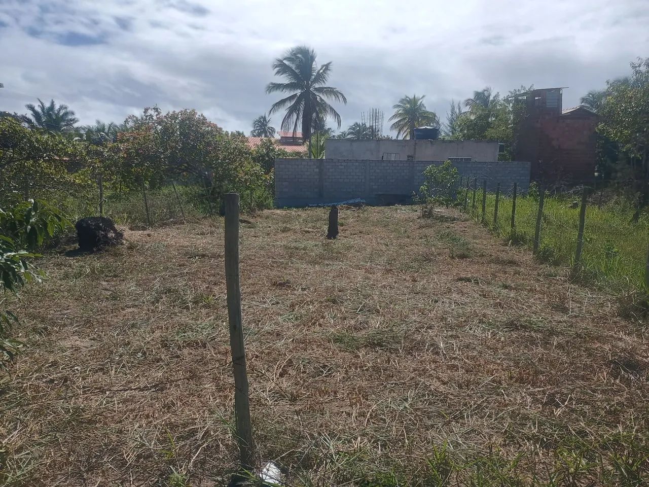 Venda 