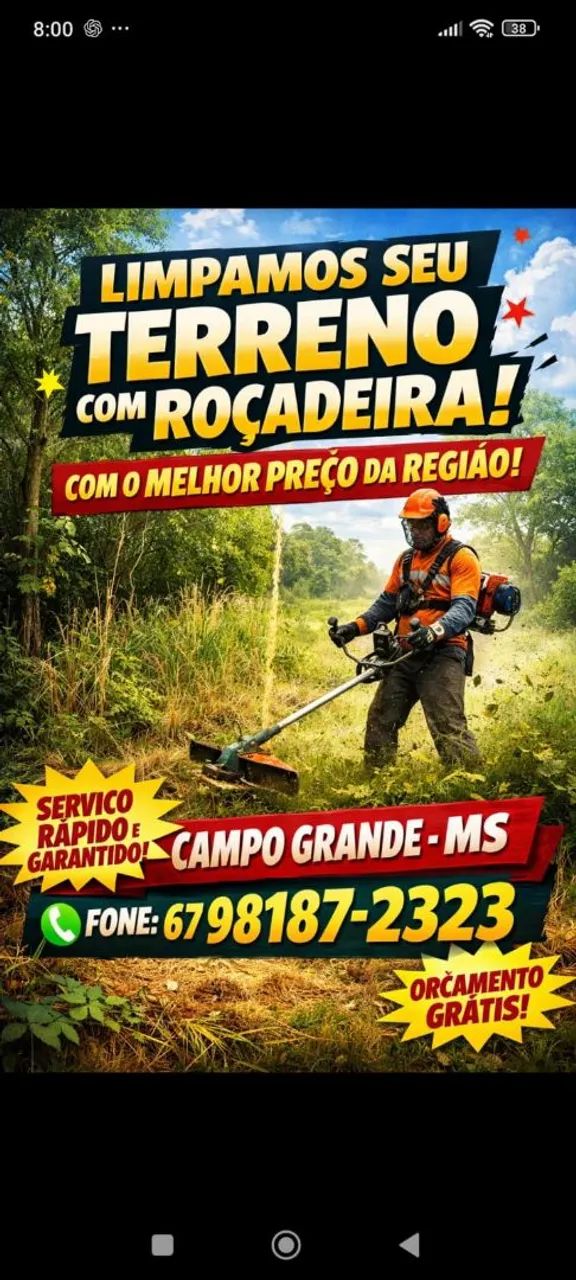 Limpeza de terreno 