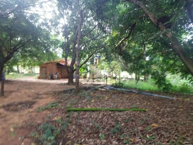 Chácara 3 Alq | Tanques de Peixe + Irrigação | 6km de Palmas | Oportunidade - Foto 5