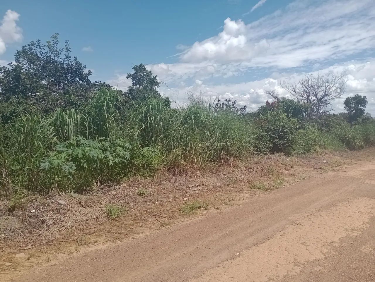 Vendo terreno no Corumbá  - Foto 2