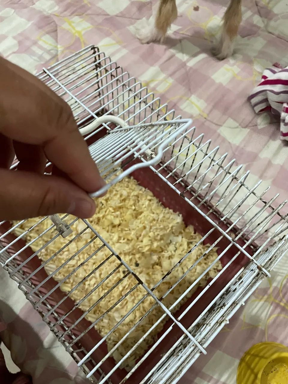 Gaiola pra hamster 65048997869953124