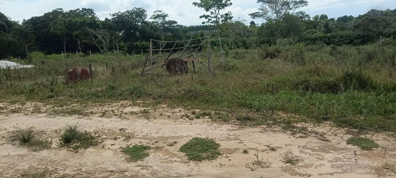 Vendo ou troco por carro  lote de 2100m²  no Km 4 nas capoeiras, Alagoinhas, Ba. - Foto 2