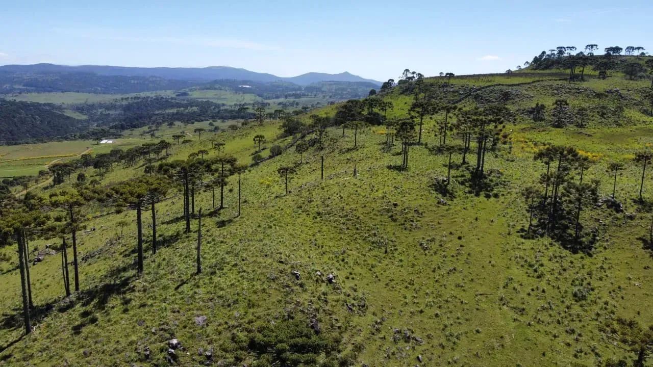 Terreno com 20 hectares em Urupema - Foto 2