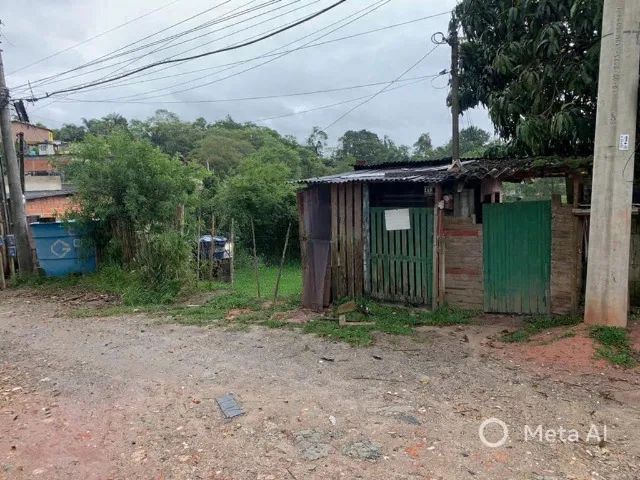 Foto - Suzano - Parque Cerejeiras