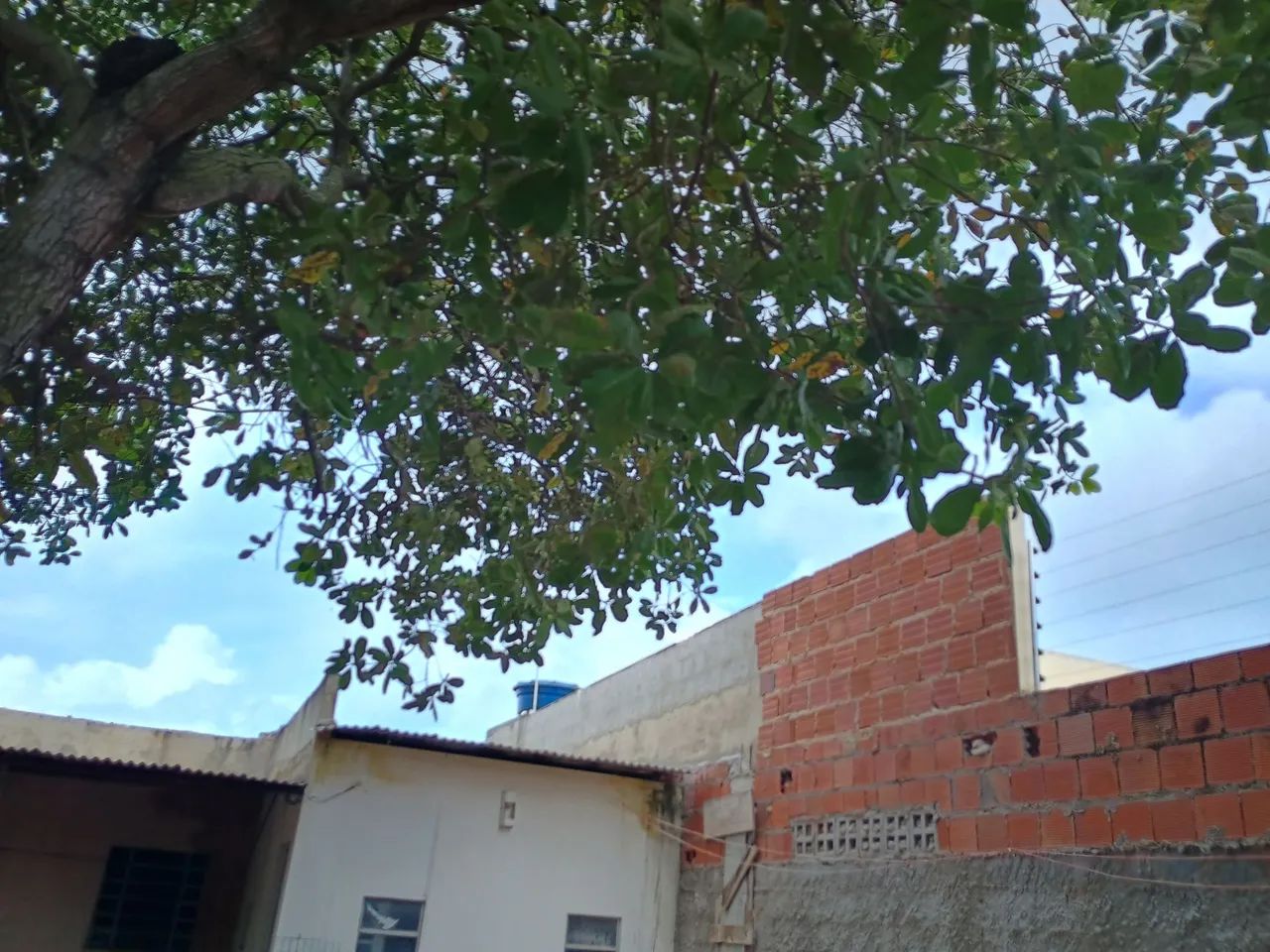 Terreno 10x30