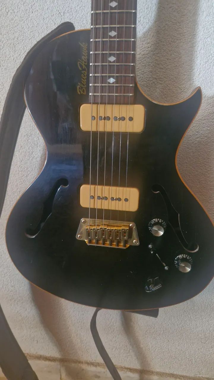 Gibson Blueshawk 