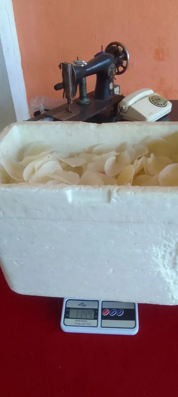 1 Kilo de escamas de peixe Camurupim para artesanatos diversos - Foto 3