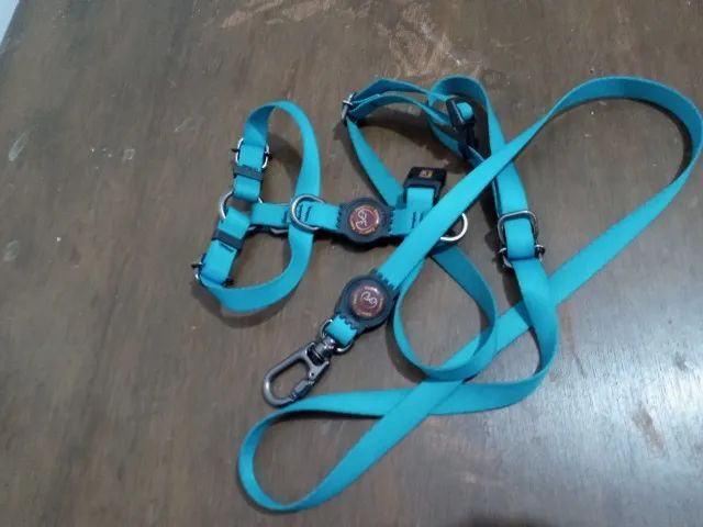 Lindo peitoral e guia para pets