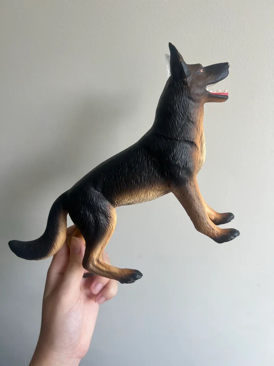 Anatomia do Cachorro 4D Desmontável - Foto 5