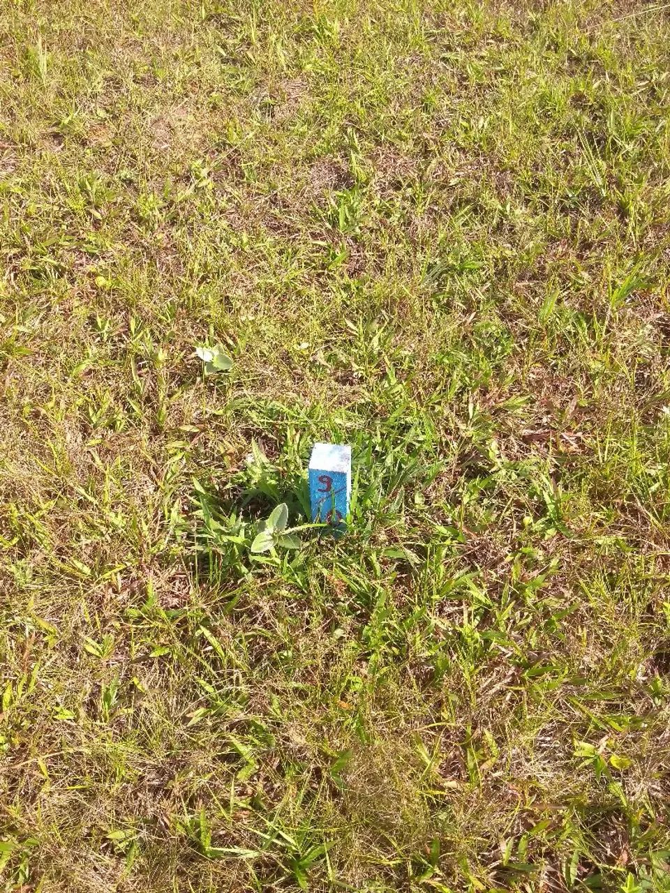 Foto - Ilha Comprida - 