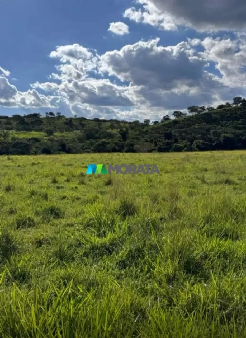 FAZENDA À VENDA - 349 HECTARES - CURVELO (MG) - Foto 5