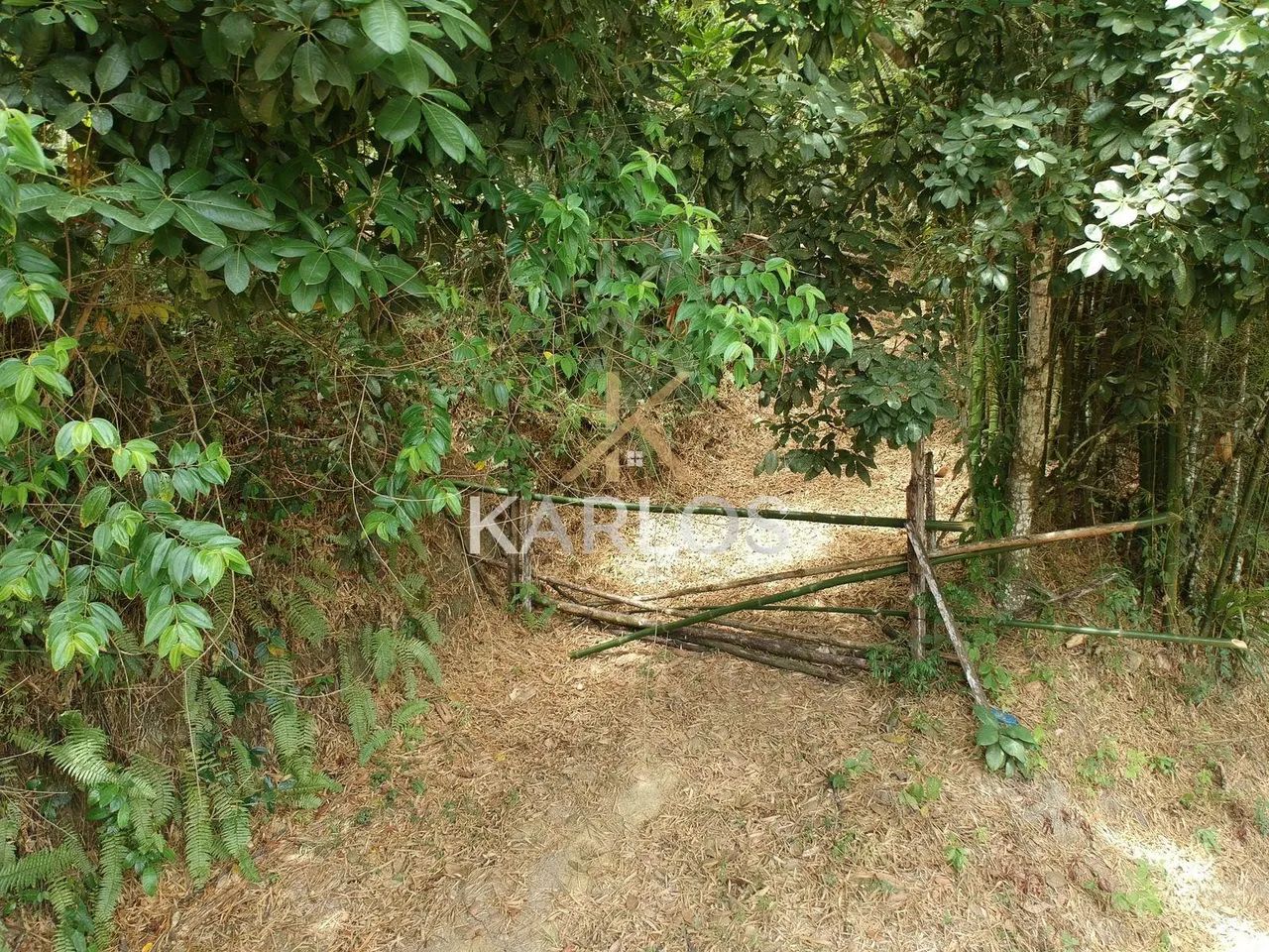 Chácara em Estrada da Muribeca - Paulista - Foto 5