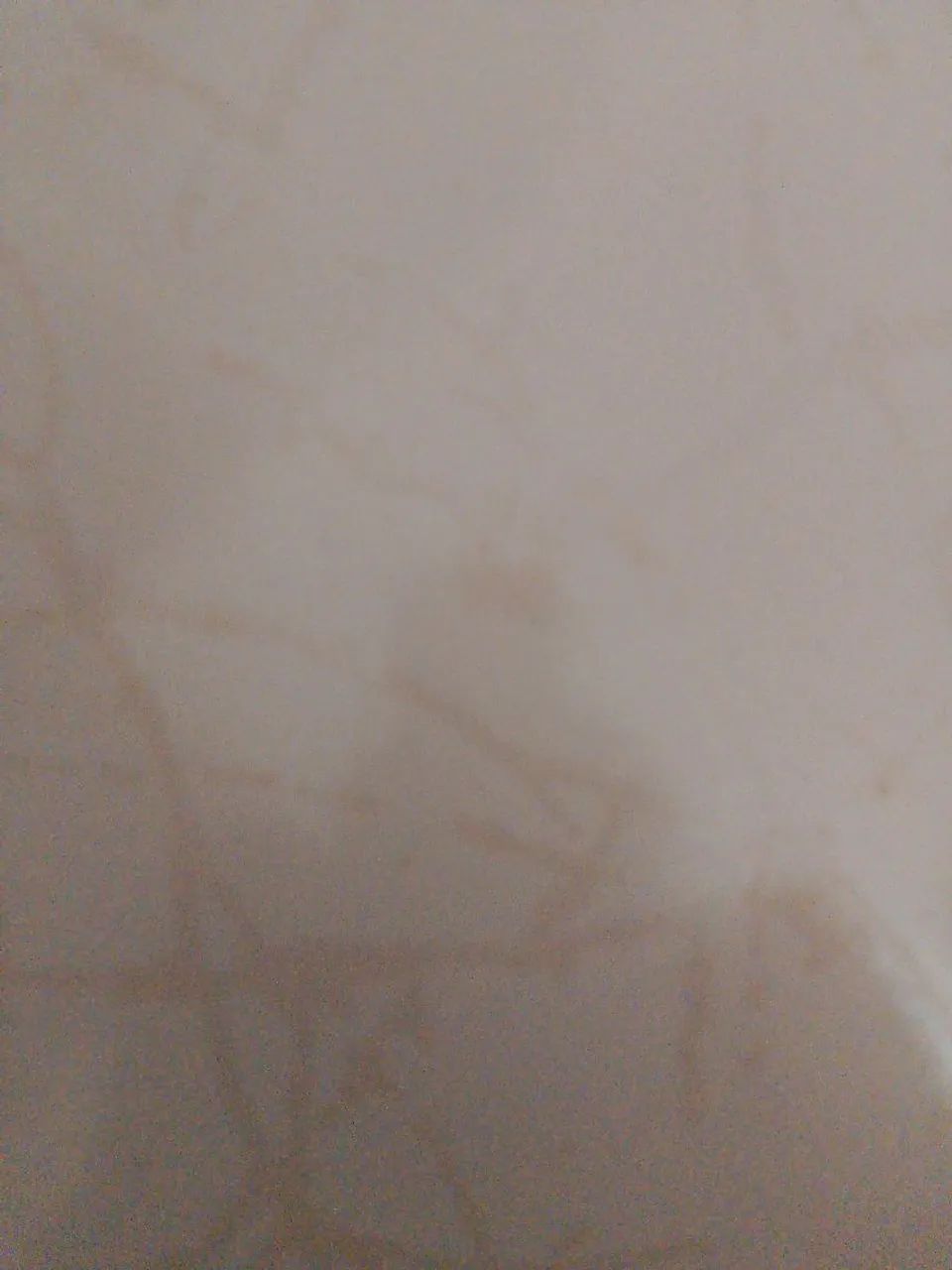 Alguma casa pra alugar 