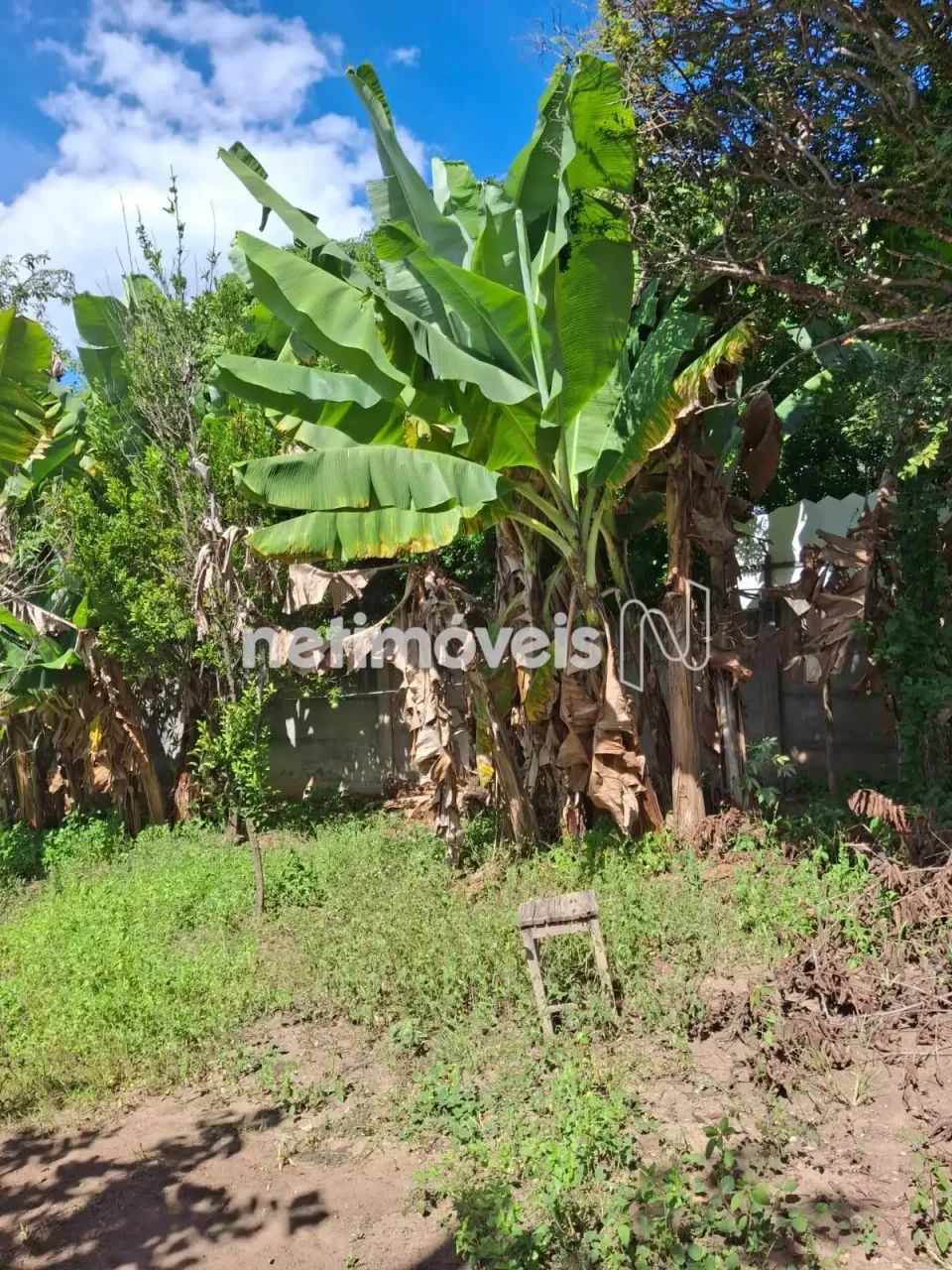 Venda Casa Ascenção Pará de Minas - Foto 4