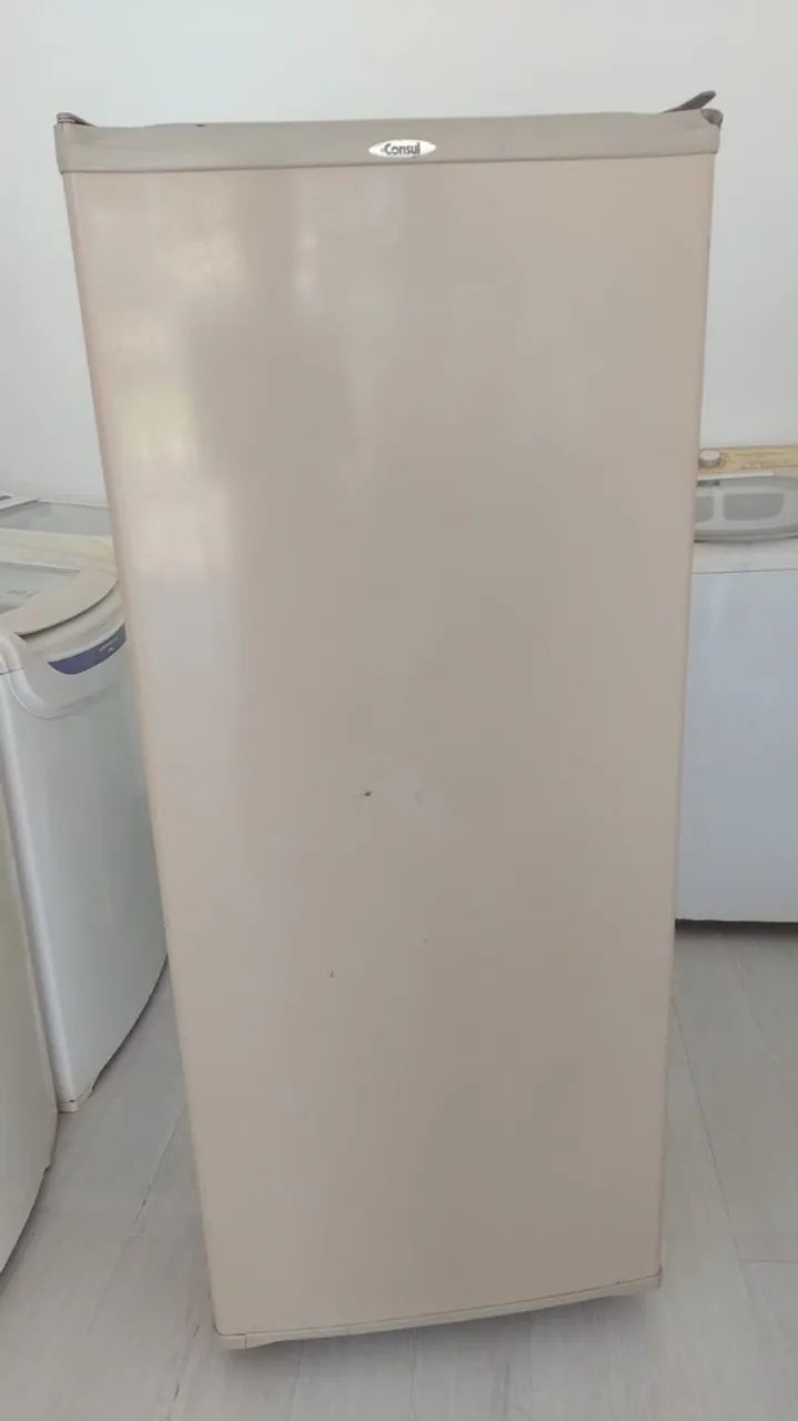 Vendo geladeira 