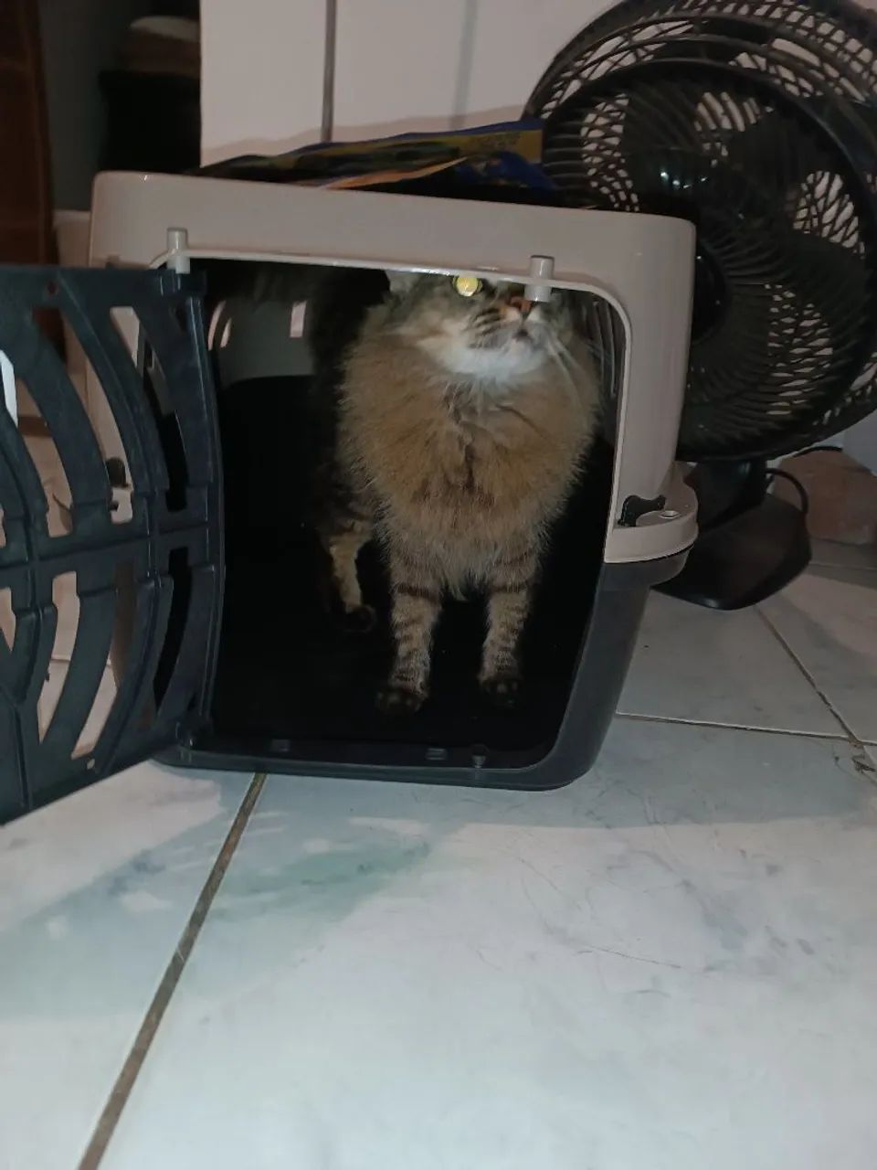 Caixa de transporte cão/gato - Foto 4