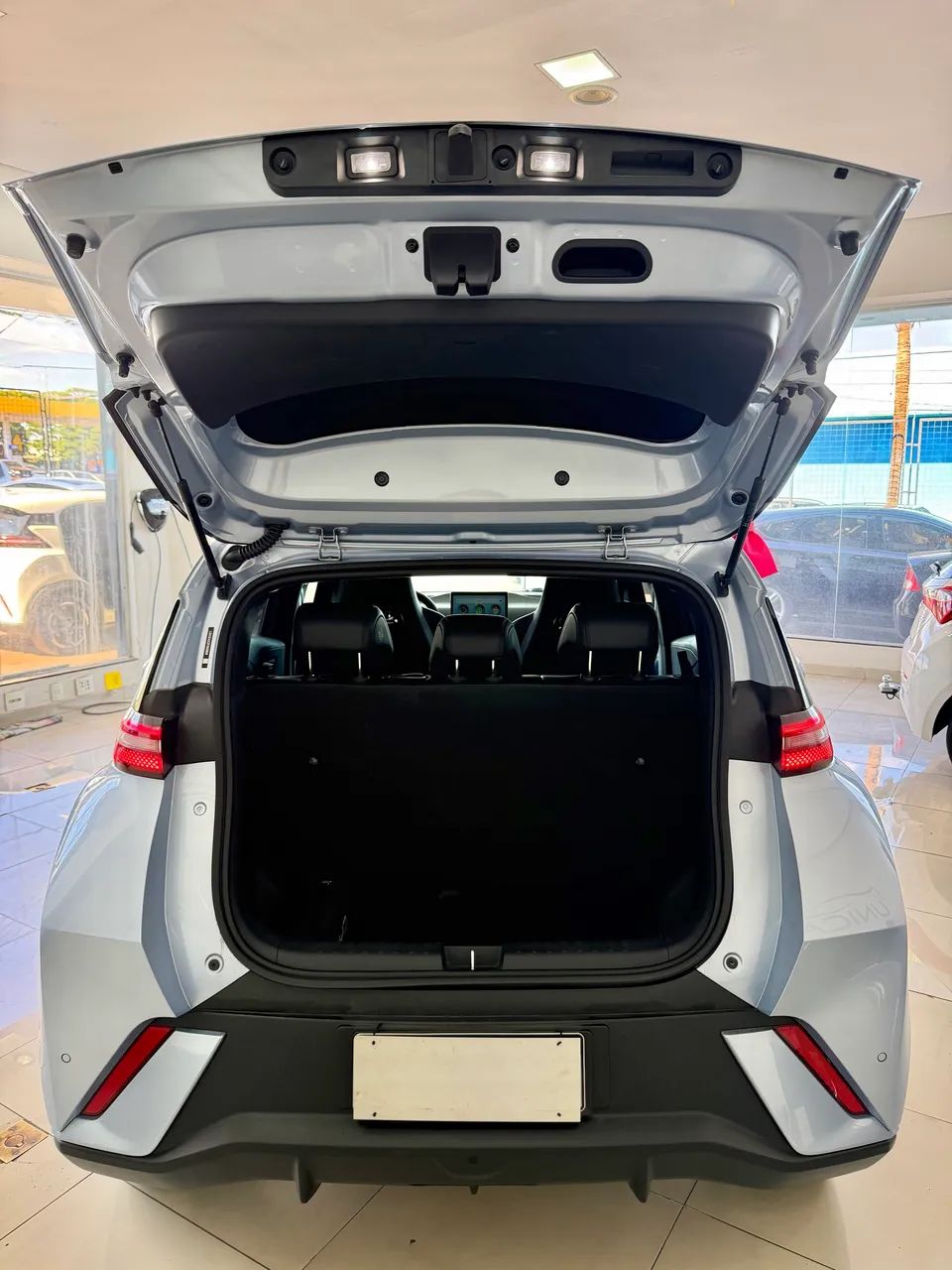BYD Dolphin Mini (Elétrico) 2026 - Foto 5