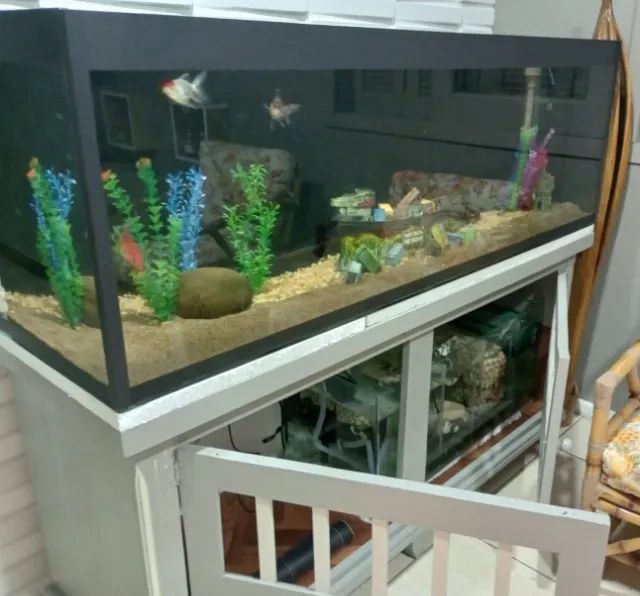 Aquário completo - Foto 2