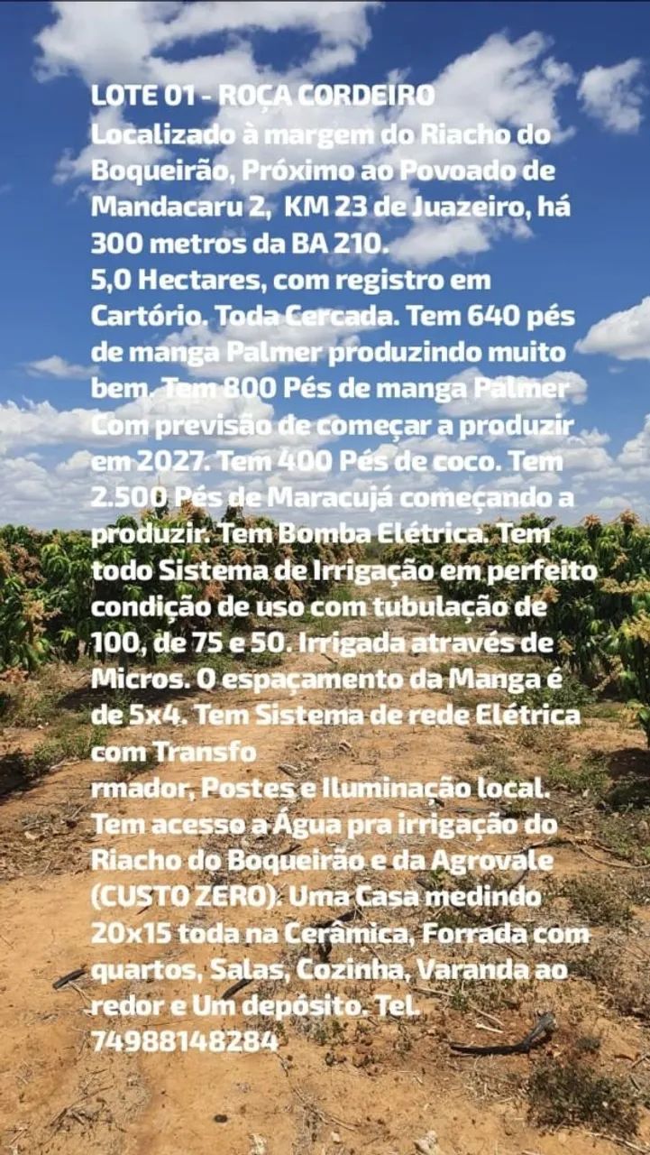 PROPRIEDADES RURAIS 