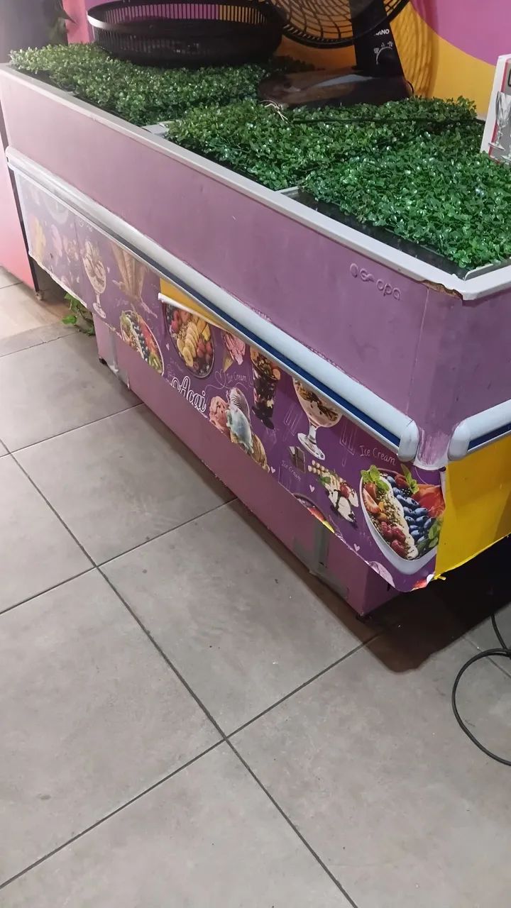 Frizzer Sorveteria Ilha 