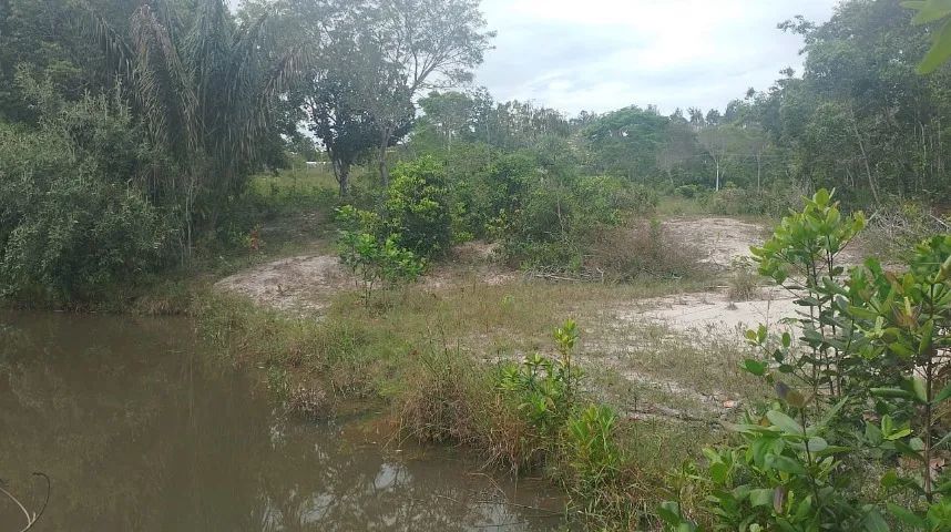 Loteamento - Nascente - Represa - Sauípe - Foto 4