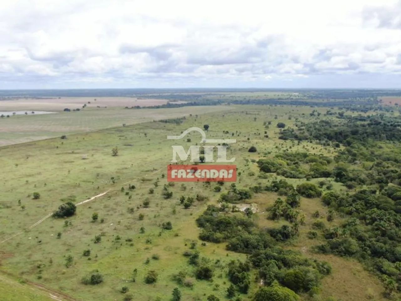 Fazenda de 42 alqueires (204 hectares) em Nova Crixas - GO, - Foto 4