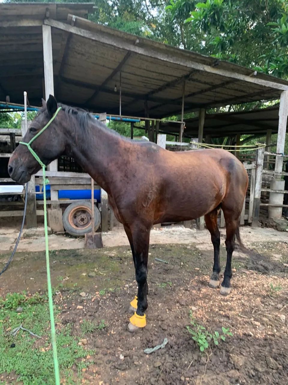 Vende-se ou troca  - Foto 4