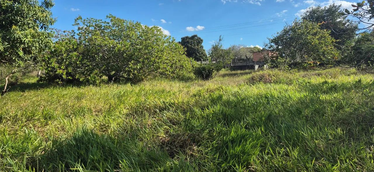 Lote a 4km da praça do Tomba - Foto 5