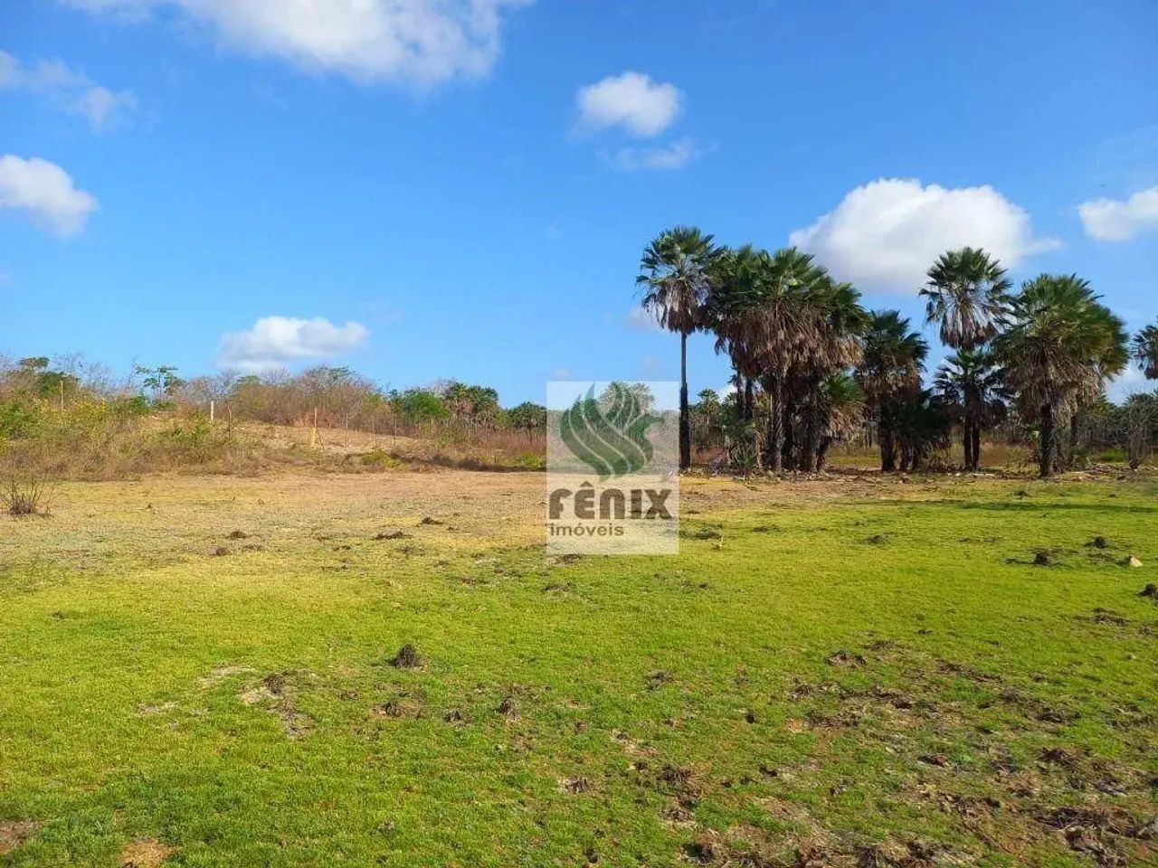 Terreno à venda, 21.036 m² em Itaitinga-CE (Ancuri) - Foto 4