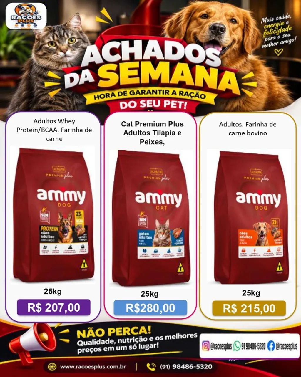 Rações Cães e Gatos - Foto 3
