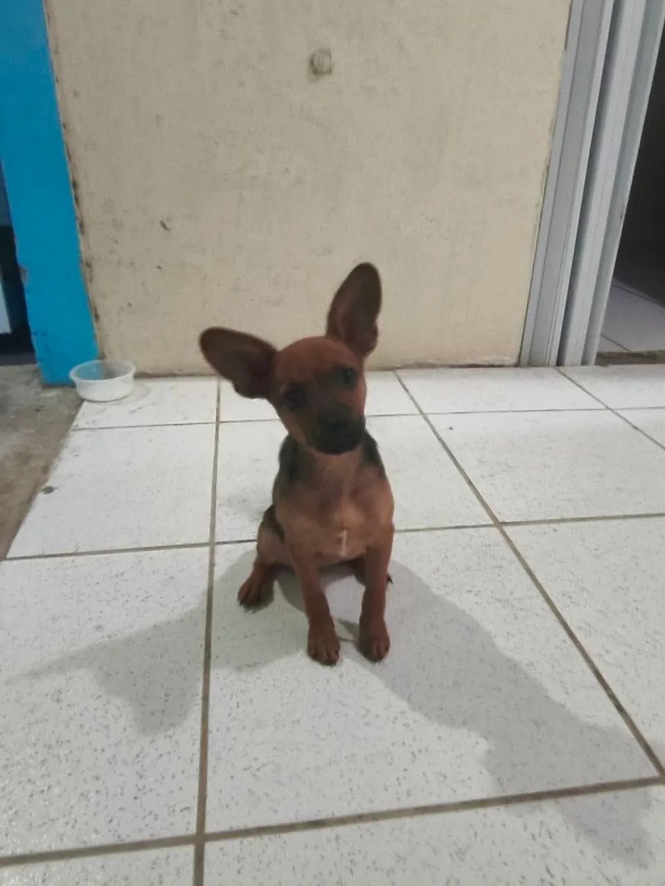 Doação - Foto 3