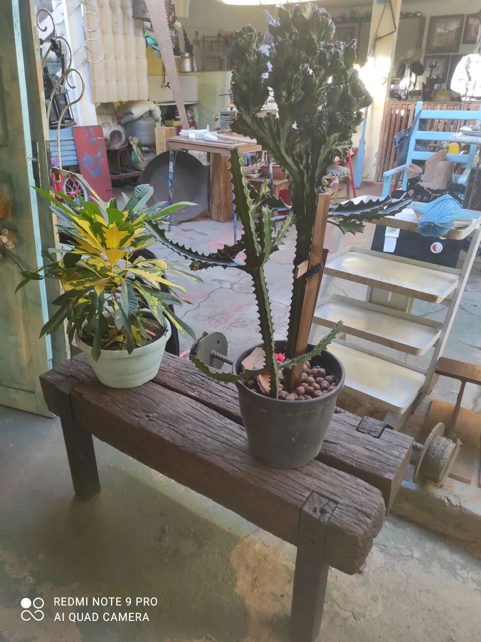 Banco para jardim,bruto : - Foto 5