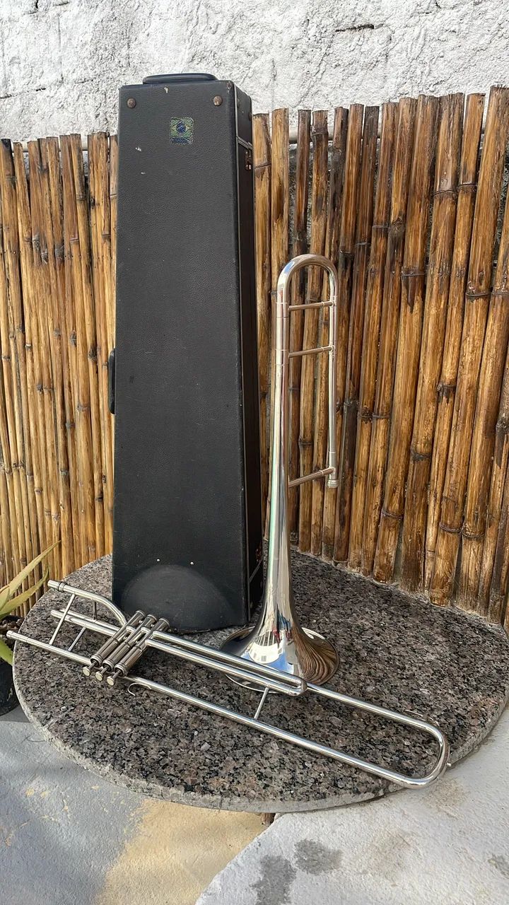 Trombone de Pisto  - Foto 3
