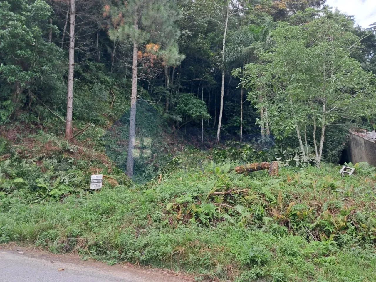 Terreno para venda, Potecas, São José - Foto 3