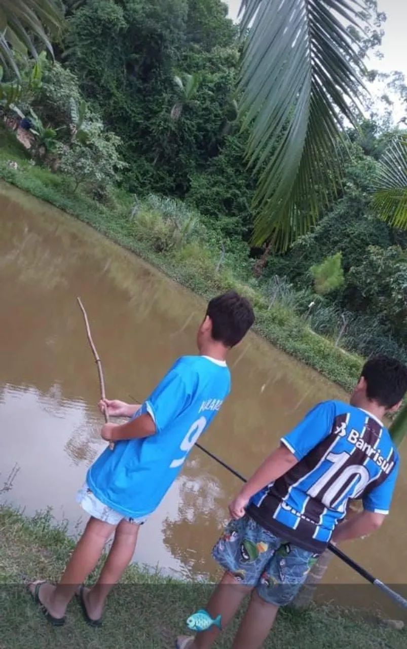 Sitio próximo a cidade 