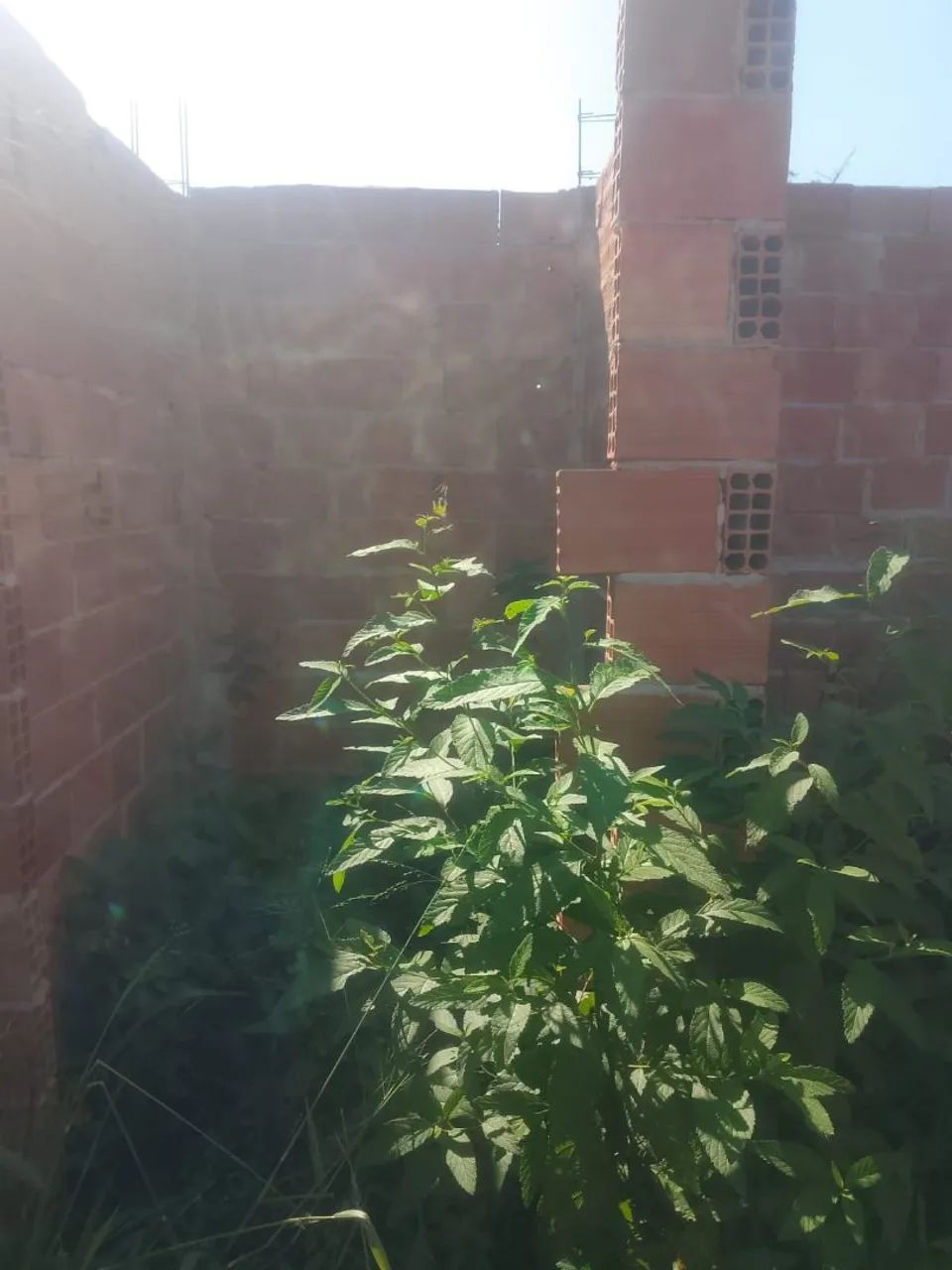 Terreno com meia água construida - Foto 2