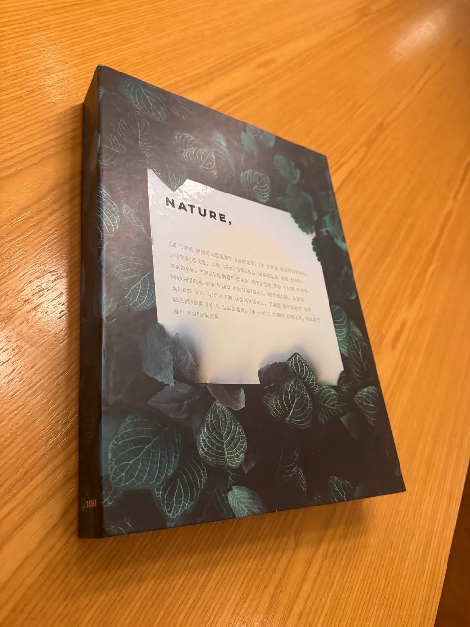 Livro caixa nature para decoração 